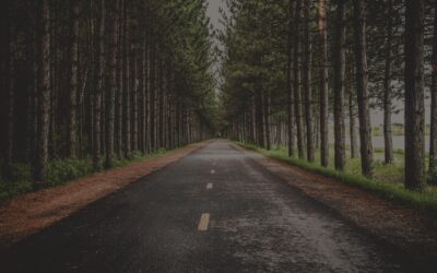 notgeneric_bg1.jpg